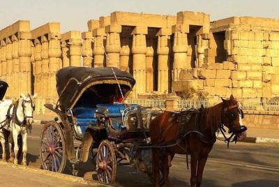 Luxor City Tour en carruaje de caballos desde Cisjordania