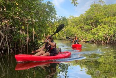 Experiencia de kayak privado de 3 horas en Cancún