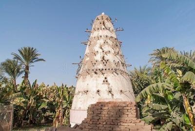 Paseo en faluca al atardecer y Banana Island con almuerzo o cena 