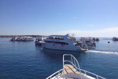 Excursión de 1 día de esnórquel y buceo a la isla de Tiran en bar