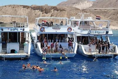 Tour a la isla Blanca y la isla Ras Mohamed desde Sharm El Sheikh