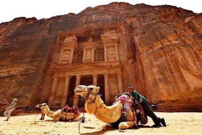 Tour de un día a Petra