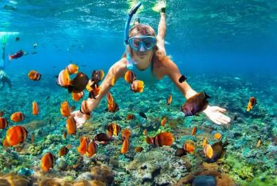 Parque Nacional Ras Muhammad: tour de snorkel con la Isla Blanca