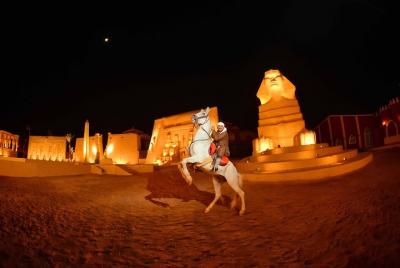 Espectáculo de las 1001 noches - Solo entradas - Sharm ElSheikh