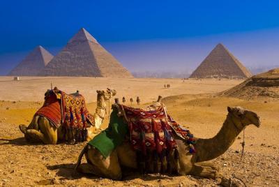 Excursión de un día a El Cairo (pirámides, esfinge y museo egipcio) durante un día - Hurghada Excursión de un día a El Cairo (pirámides, esfinge y museo egipcio) durante un día - Hurghada