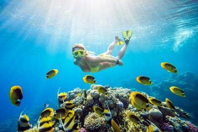 Excursión marítima de esnórquel en la isla Giftun de día completo con deportes acuáticos y almuerzo - Hurghada Excursión marítima de esnórquel en la isla Giftun de día completo con deportes acuáticos y almuerzo - Hurghada