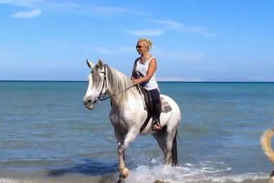 Dos horas de paseo en camello o caballo en el increíble desierto y mar - Hurghada