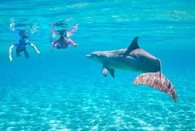 Excursión VIP de esnórquel por el mar en Royal Dolphin House con deportes acuáticos y almuerzo - Hurghada Excursión VIP de esnórquel por el mar en Royal Dolphin House con deportes acuáticos y almuerzo - Hurghada