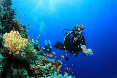 Hurghada: Tour de día completo de aventura de buceo con almuerzo Hurghada: Tour de día completo de aventura de buceo con almuerzo
