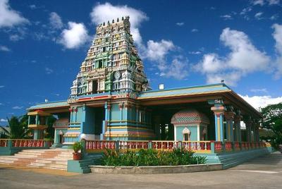 Excursión de día completo que incluye jardín del gigante dormido, baños de barro y la ciudad de Nadi