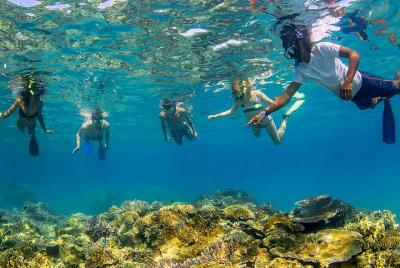 Feejee Five - 11 días Island Hopping