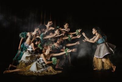 Entrada sin colas al espectáculo no contado de Fiji