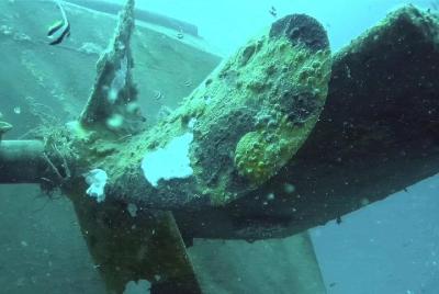 Crucero diurno por la isla de Tivua de un día completo con buceo en naufragios para buceadores experimentados