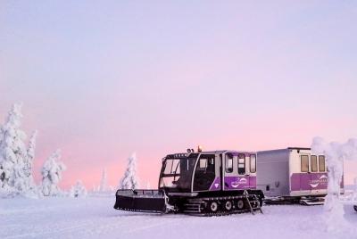 Parque Nacional Pyha-Luosto y mina Amethyst en coche desde Ivalo