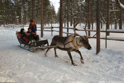 Lapland Reindeer Safari de Saariselkä