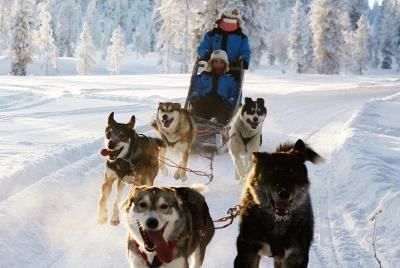 Husky Safari 2.5-3h desde Saariselka