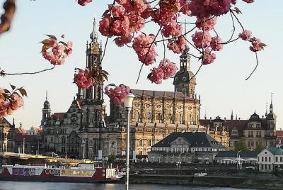 Tour privado a pie por el histórico Dresden