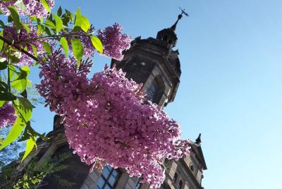 Visita guiada privada a pie por Dresde para familias