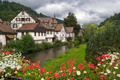 Excursión de un día al Bosque Negro y Estrasburgo desde Fráncfort Excursión de un día al Bosque Negro y Estrasburgo desde Fráncfort