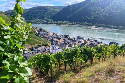 Tours personales de vino en el corazón de Alemania desde la región de Frankfurt - Mainz Tours personales de vino en el corazón de Alemania desde la región de Frankfurt - Mainz