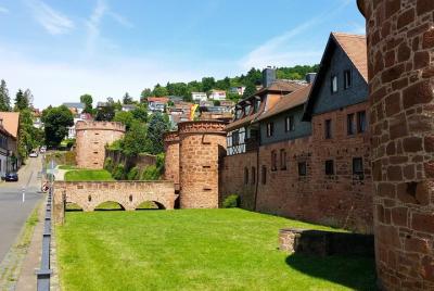 Frankfurt - Excursión a Büdingen (Ciudad Vieja) Frankfurt - Excursión a Büdingen (Ciudad Vieja)
