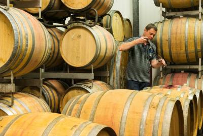 Excursión de un día a la Ruta Romántica de Frankfurt a la aldea del vino de Röttingen (SÁBADO) Excursión de un día a la Ruta Romántica de Frankfurt a la aldea del vino de Röttingen (SÁBADO)