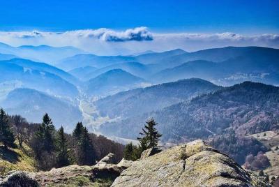 Desde Freibourg: ¡El gran recorrido por la Selva Negra!