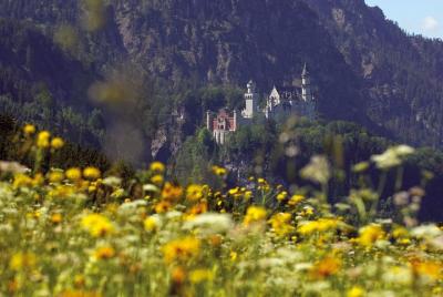 Excursión privada de día completo desde Fuessen: Castillo de Neuschwanstein, Oberammergau y Castillo de Linderhof