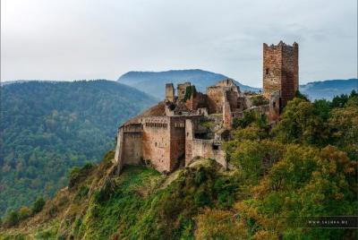 Excursión de un día desde Baden-Baden a Alsacia: Colmar, Riquewihr, Ruta del Vino de Alsacia Excursión de un día desde Baden-Baden a Alsacia: Colmar, Riquewihr, Ruta del Vino de Alsacia