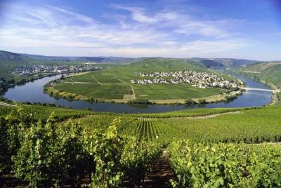 Grape Escape Mosel - Tour personal del vino Grape Escape Mosel - Tour personal del vino