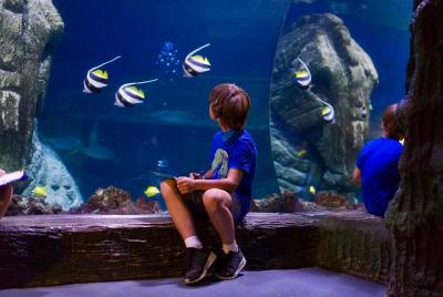 Evite las colas: entrada a SEA LIFE Múnich