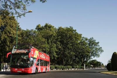 Recorrido en autobús turístico con paradas libres por la ciudad de Postdam Recorrido en autobús turístico con paradas libres por la ciudad de Postdam