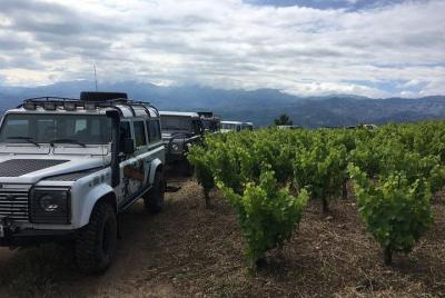 Escapes inexplorados: visita privada exclusiva a la bodega y viñedo Manousakis