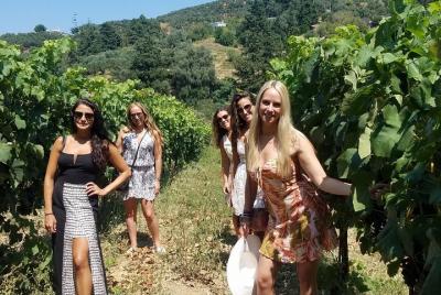 Tour semiprivado de vino, aceite de oliva y cultural de día completo Tour semiprivado de vino, aceite de oliva y cultural de día completo
