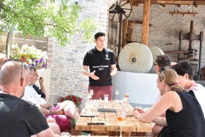 Visita guiada del Gobernador Olive Mill Tour privado con degustac