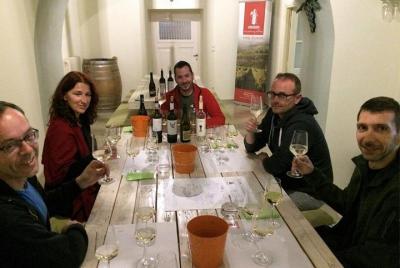 5. Cata de vinos: los vinos modernos de Grecia con barbacoa en el viñedo