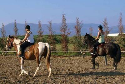 Experiencia de equitación en Nafplio