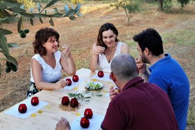 Recorrido a pie por el jardín de los olivos y degustación de aceite de oliva en Kalentzi: excursión de un día desde Atenas