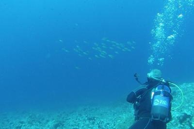 Paquete de 10 inmersiones