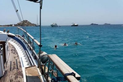 Crucero por las playas del sur de Mykonos