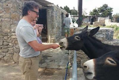 Visita la granja de Mykonian en Mykonos