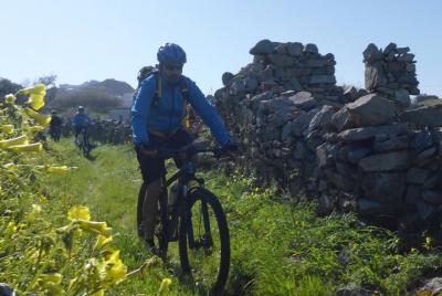 Tour romántico en bicicleta en Mykonos