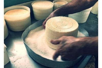 Rutas de queso y vino