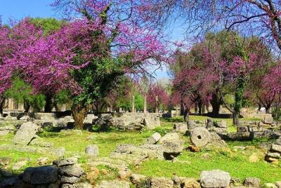 Tour privado de Olympia (4.5 horas)