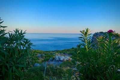 Traslado privado al aeropuerto: aeropuerto de Rodas (RHO) a Rodas
