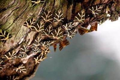 Tour privado: Lo mejor de Rodas en un día (Half Island Tour)