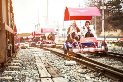 ❃ (¡Comida gratis!) Nami Island & Garden of Morning Calm & Gangch ❃ (¡Comida gratis!) Nami Island & Garden of Morning Calm & Gangch