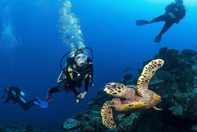 4 horas: ¡Viaje de doble inmersión en el famoso parque de esculturas submarinas del mundo! 4 horas: ¡Viaje de doble inmersión en el famoso parque de esculturas submarinas del mundo!