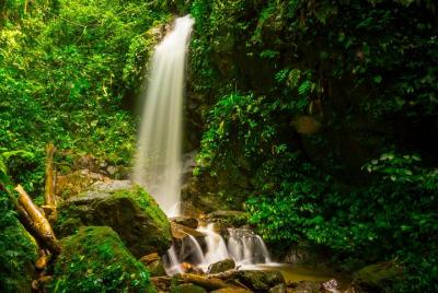 Escapada de un día al Parque Nacional Cerro Azul Meámbar y Lago de Yojoa desde San Pedro Sula