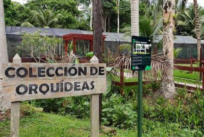Jardín Botánico Lancetilla 